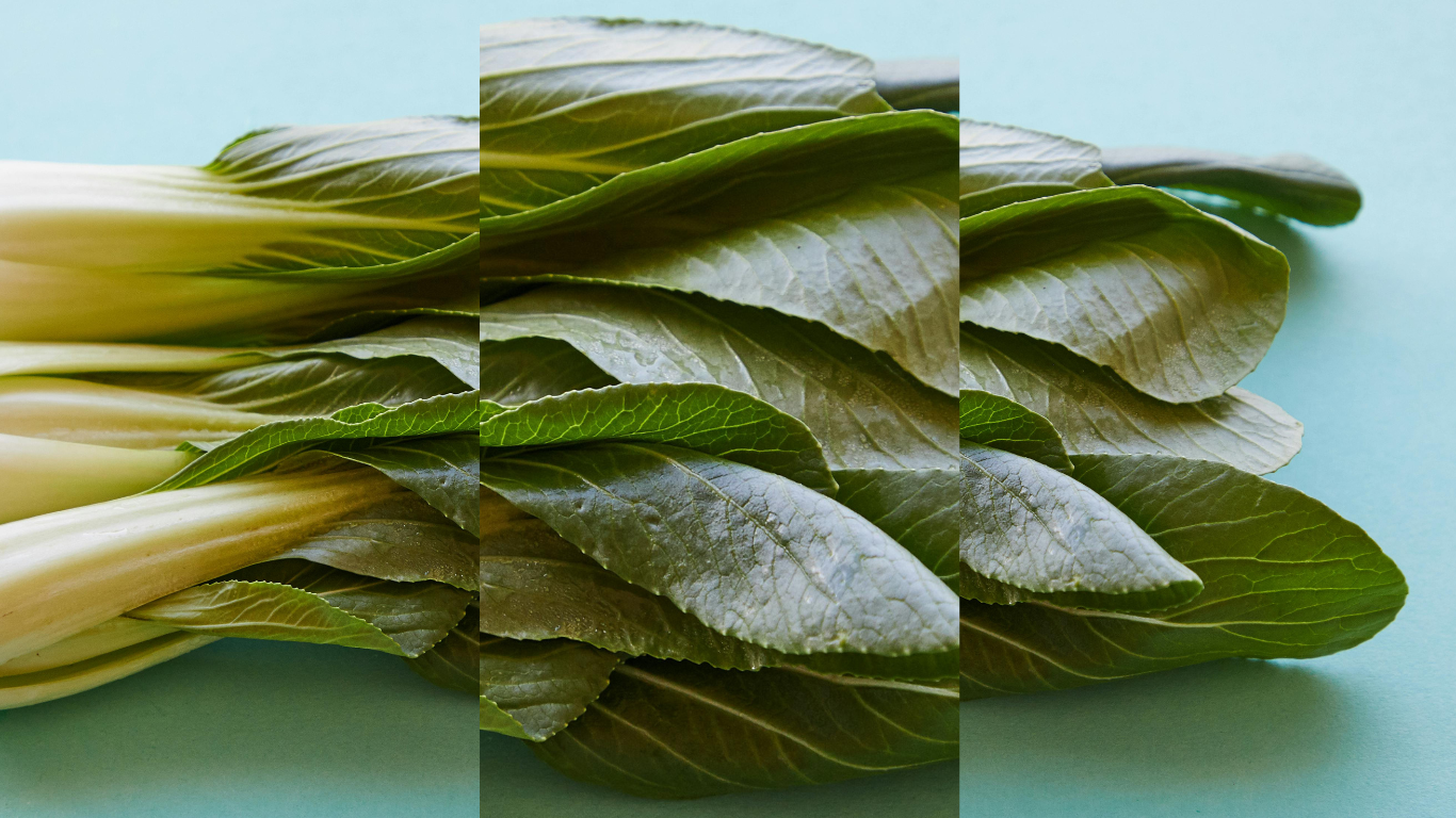 Curso: Guía y Sabores sin desperdicio junto a Fundación Basura